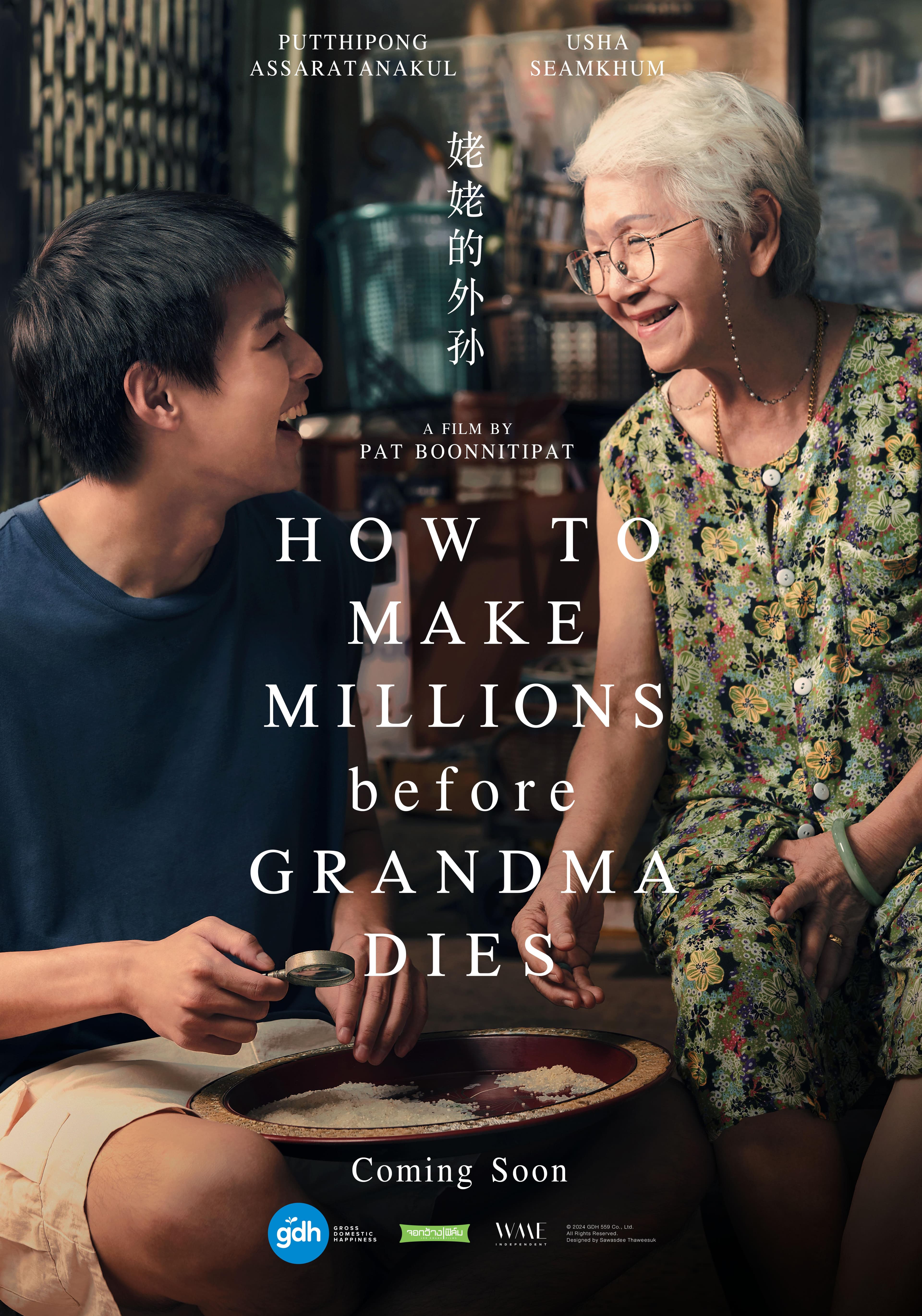 Affiche de How to Make Millions Before Grandma Dies